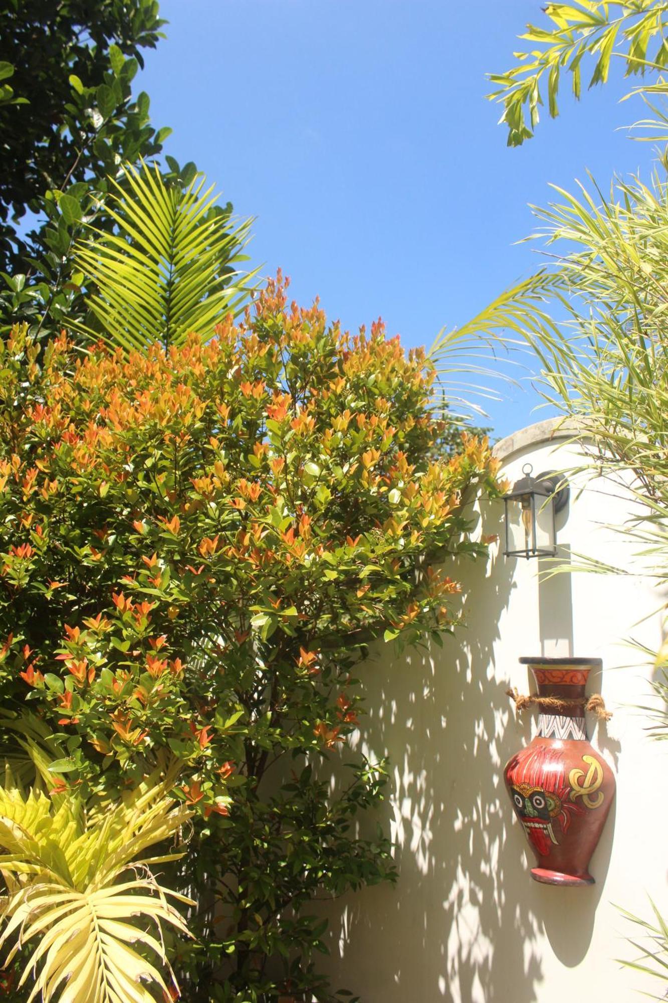 Villa Olde Ceylon Kandy Luaran gambar