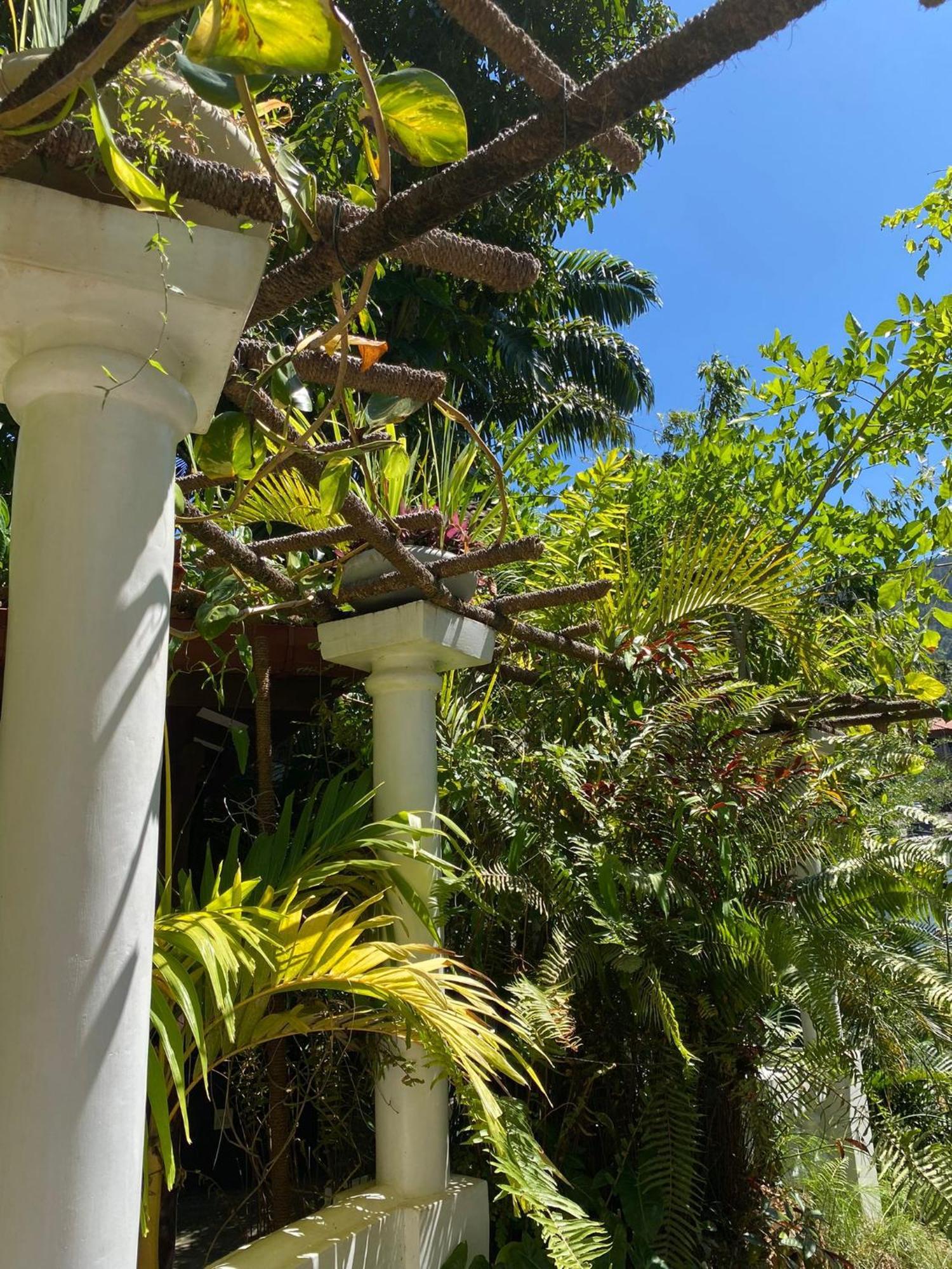 Villa Olde Ceylon Kandy Luaran gambar